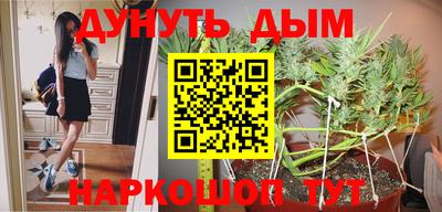 PSILOCYBIN Гагарин
