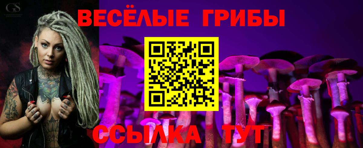 Барнаул  Псилоцибиновые грибы прущие грибы  Галлюциногенные грибы мухоморы  Вход с VPN 